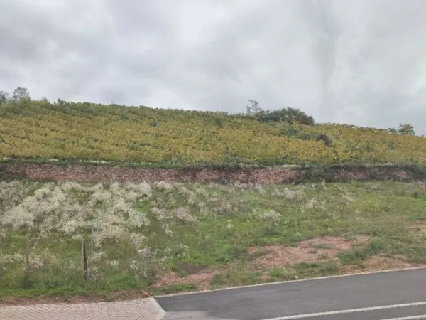 Terrain 505 m²