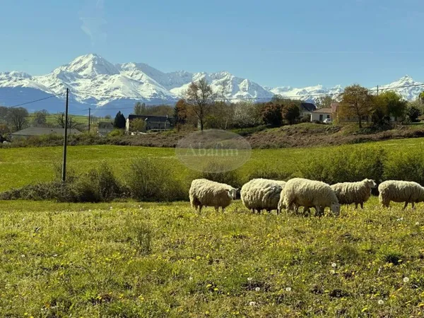 Ferme à renover sur 3 ha