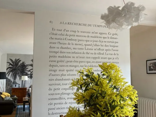 Vends Maison avec dépendance de 216m²