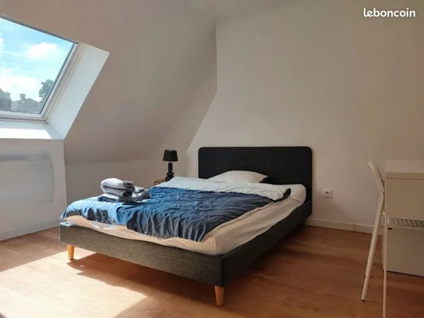 Chambre dans colocation hyper centre