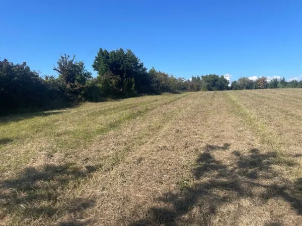 Terrain 3700 m²