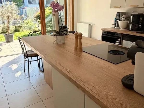T3 récent avec entrée indépendante, jardin, terrasse et garage - Cognin (Villeneuve)