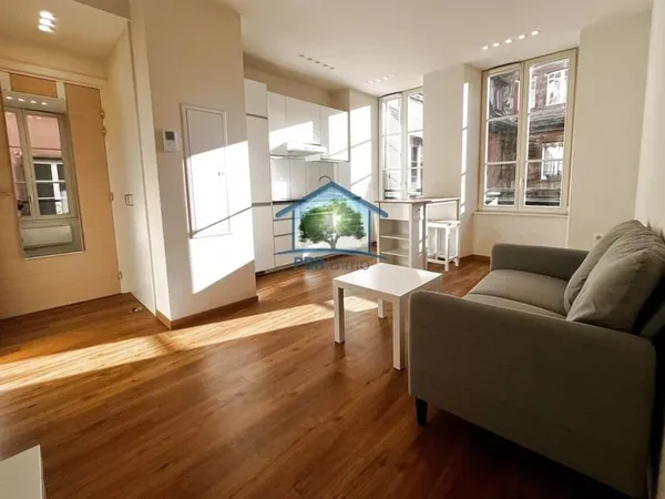 STRASBOURG (67) - Location Krutenau - T2 Meublé 28 m²