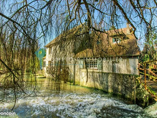 Moulin 13 pièces 353 m²