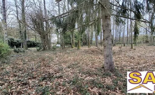Terrain constructible