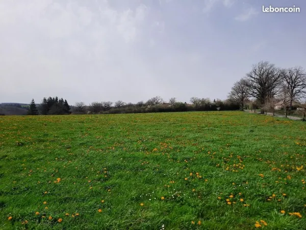 Terrain 1 500 m² Roannes Saint Mary