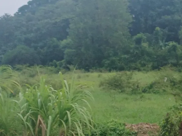 Terrain 700 m²