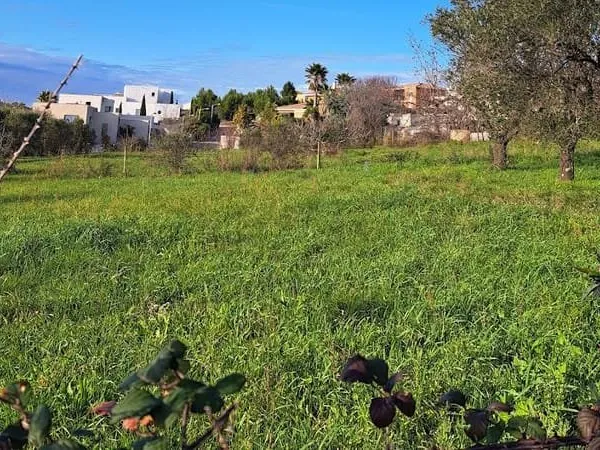 Terrain 1429 m²