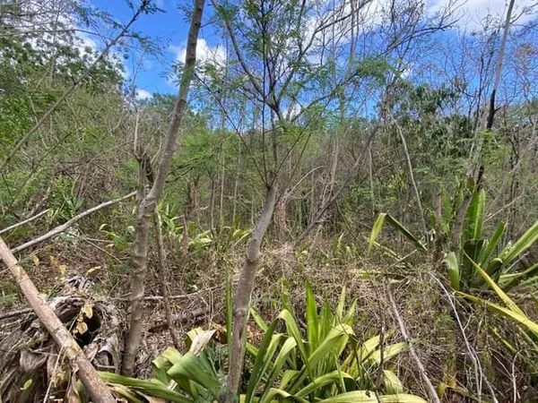 Terrain 1134 m²