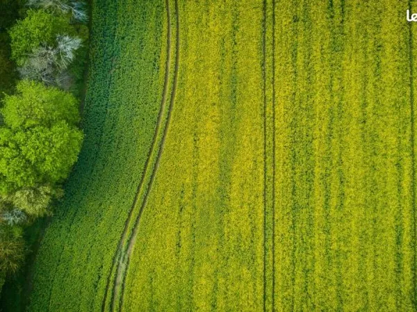 Terrain agricole Briec