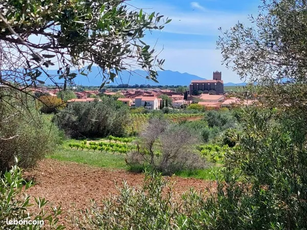 Terrain arboré avec vue mer, Canigou & village - 4 132 m² - Baixas