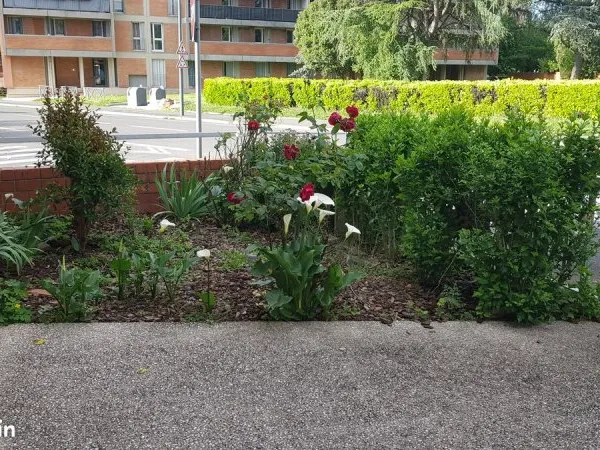 Coloc Fac Champollion Albi