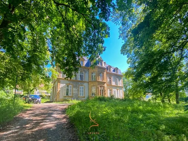 Appartement avec jardin - Charme et luminosité dans un château du XIXe siècle à Ars-sur-Moselle