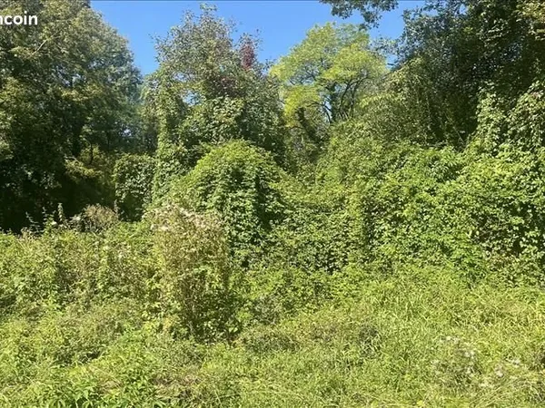 Terrain 1 910 m² La Sauvetat Sur Lede
