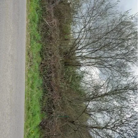 Vend, Terrain Condat sur vienne