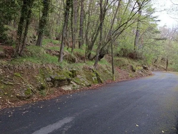 Terrain à vendre de 16 225,00 m² PEILLE (06)
