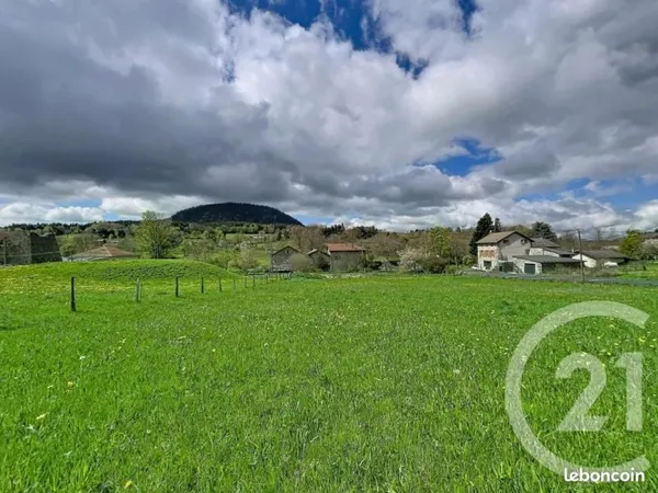 Terrain 1 400 m² Saint Julien Du Pinet