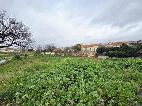 Terrain constructible