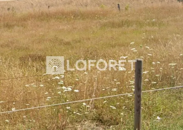 Terrain 350 m²