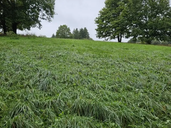 Terrain 2900 m²