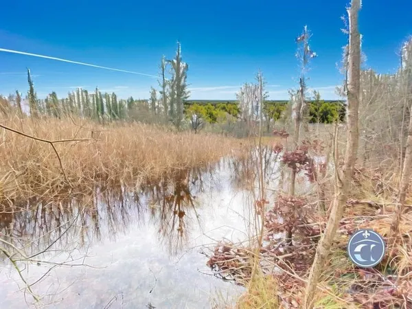 Terrain de Loisirs à Vendre dans le Controis en Sologne/ Un Cadre Verdoyant