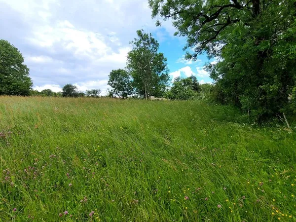 Terrain à bâtir Vente Longcochon  1200m² 49000€