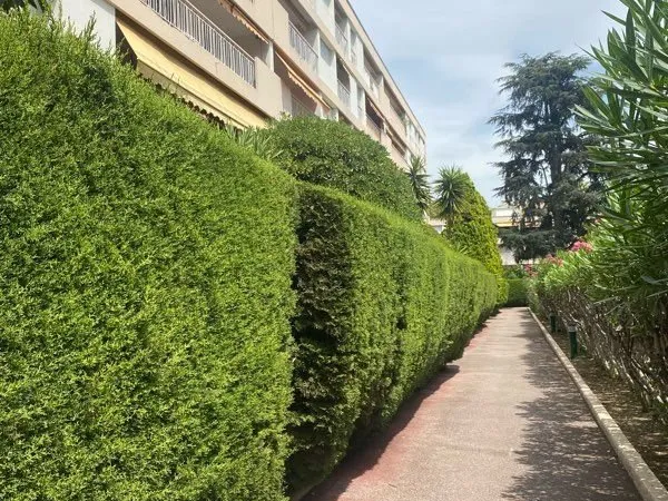 T3 meuble nice ouest