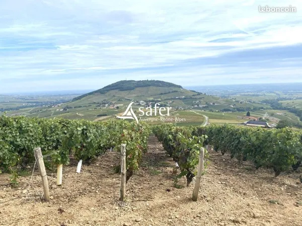 Terrain 6000 m² Odenas