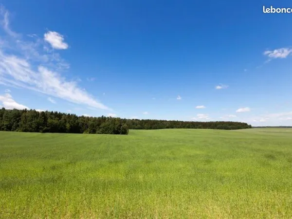 Terrain agricole 3798m2