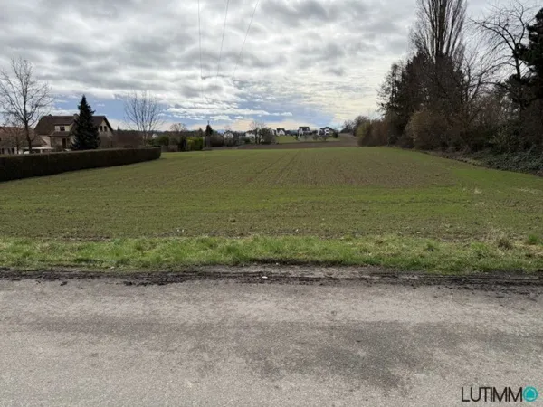 Terrain 590 m²