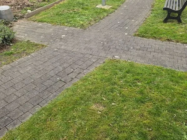 T2 50m2 +cave+park s.sol, tt équipé