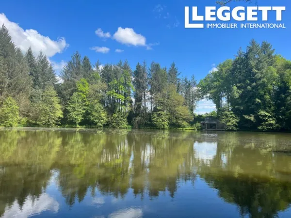 3 étangs alimentés par des sources au coeur de la campagne de la Dordogne, cachés dans la forêt.