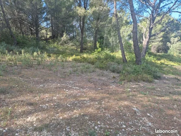 Terrain st roman