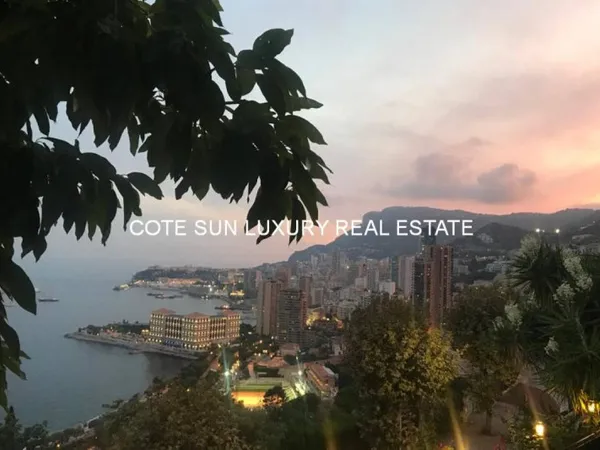 AFFAIRE RARE VILLA DE TRES GRAND LUXE DOMINANT MONTE CARLO