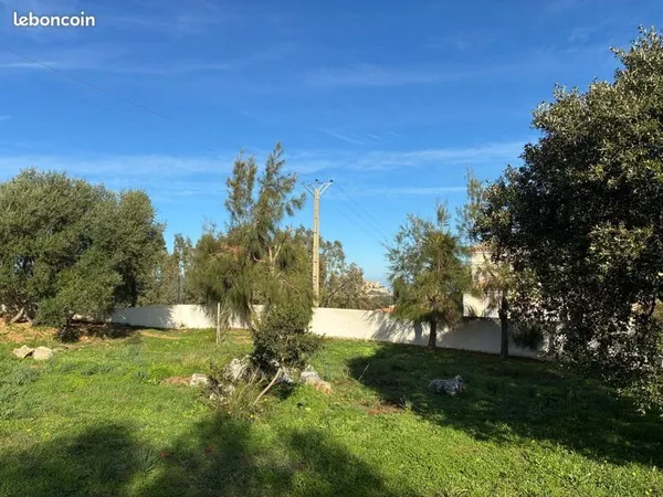 Terrain constructible