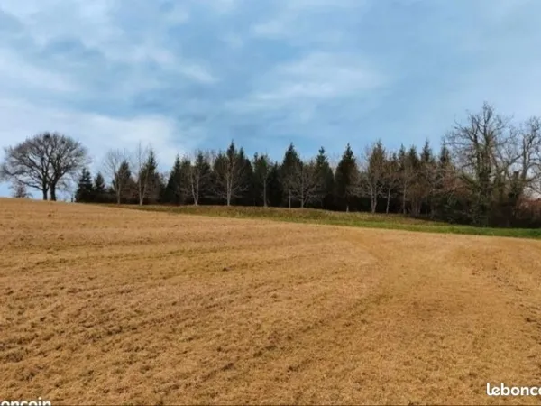Terrain constructible de 22 463 m² à Estang (Gers) - idéal investisseur ou projet immobilier