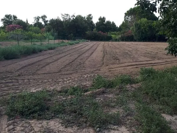 Terrain loisir