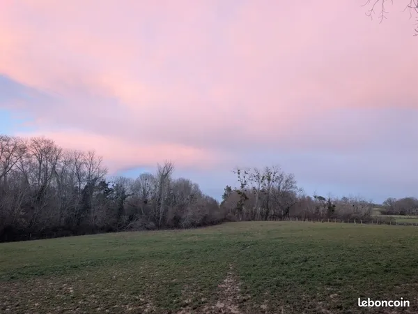 Terrain agricole