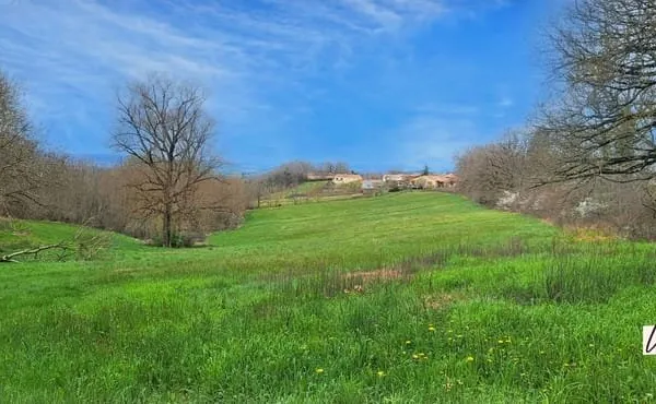 Terrains constructibles 2 hectares - Opportunité rare - Projet de Lotissement