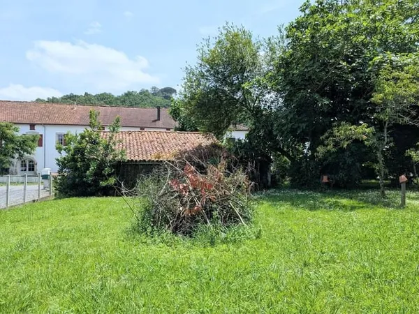 Terrain 954 m²