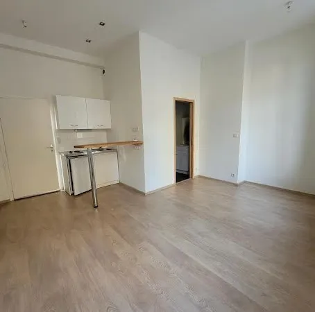 Appartement 1 pièce 20 m²