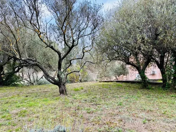 Terrain 715 m²