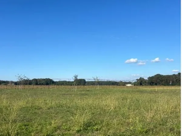 Terrain 470 m² Tosse