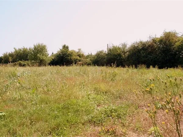Terrain 800 m²