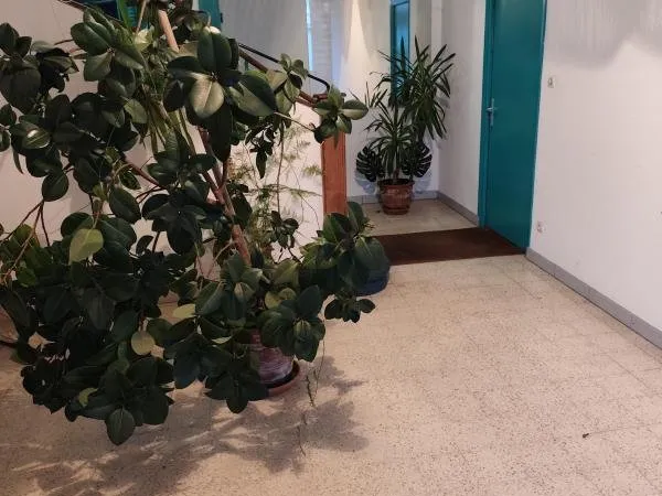 Bien immobilier de rendement Vente Contrexéville 3p 270m² 222900€
