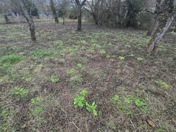 Terrain 585 m²