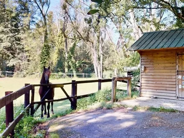 PROPRIETE EQUESTRE DE 9 HECTARES AUX PORTES DE PARIS