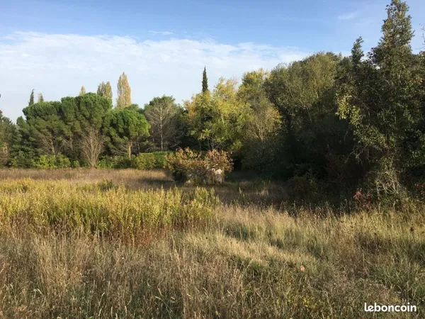 Vente terrain à Magrie (11300) - Zone à urbaniser, 6200 m2, avec puit, arbres fruitiers et étude des