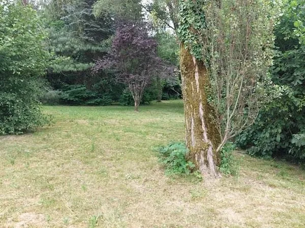 Terrain à bâtir 1363 m²