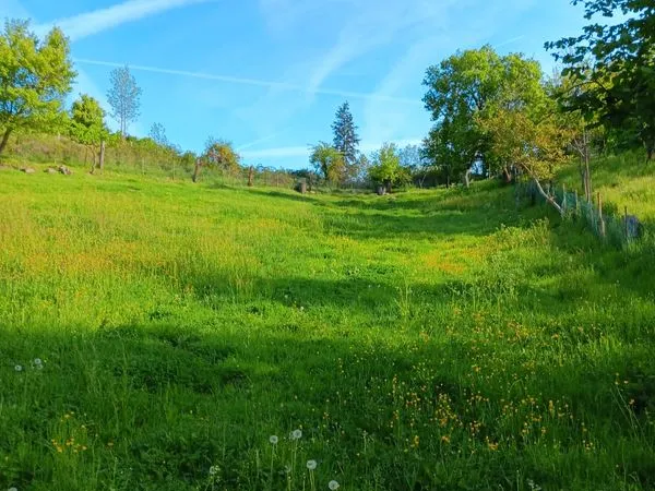 Terrain agricole -pré